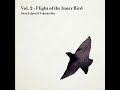 Vol 2  flight of the inner bird  album by yehezkel raz