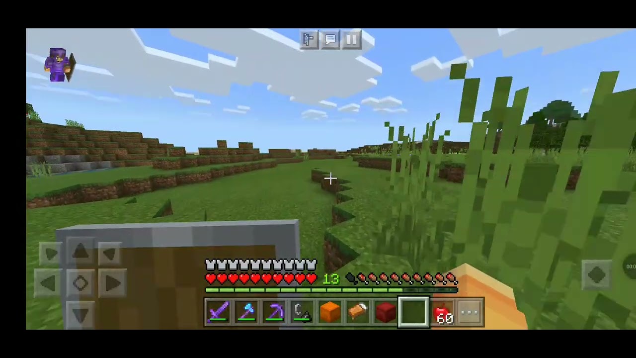 zerei o Minecraft java Edition - YouTube