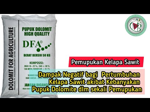 Negative Impact On Oil Palm Growth Due To Too Much Dolomite Fertilizer In One Fertilization 