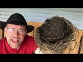 Bird Nest (Science, Social Studies, Language)