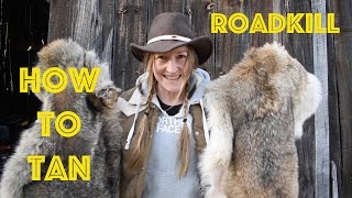 How to Tan Hides at Home and Stalking Coyotes screenshot 2