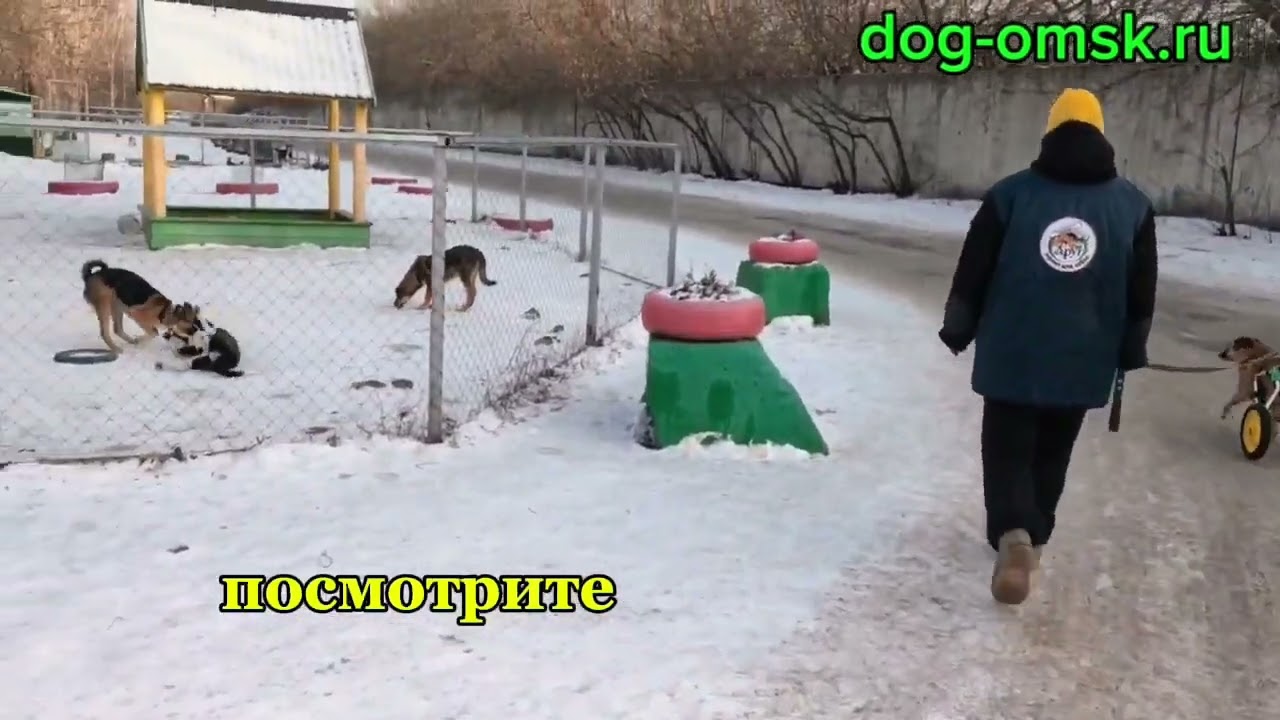 Итоги дня 12.12.2025