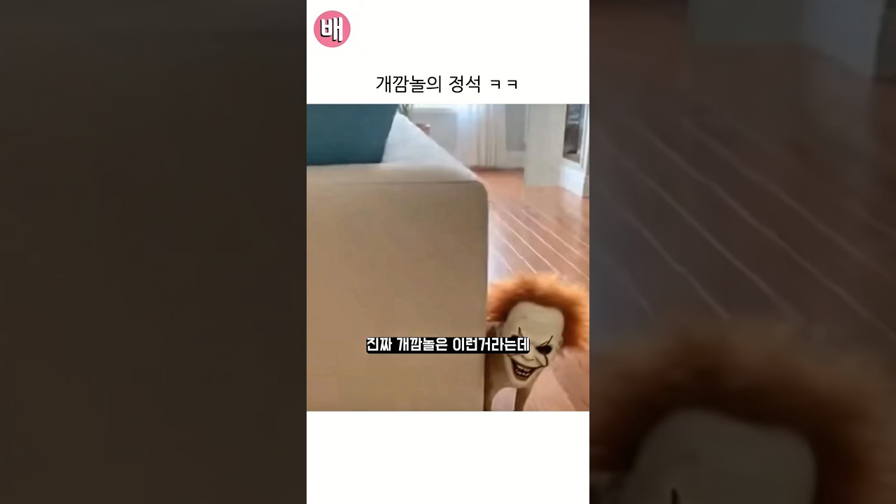 개깜놀의 정석 ㅋㅋㅋ 썸네일