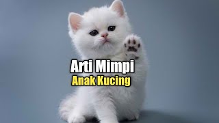 Arti Mimpi Anak Kucing