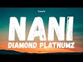 Nani Diamond Platnumz Lyrics Video