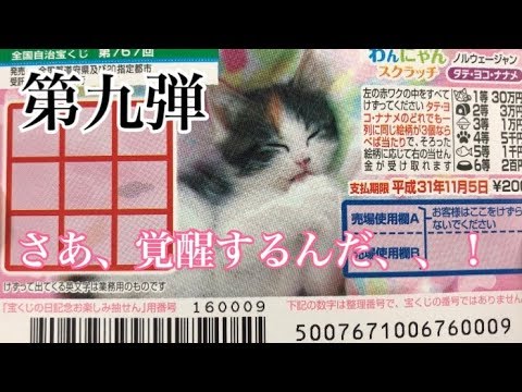 第九弾 宝くじ わんにゃんスクラッチを買ってみた Youtube