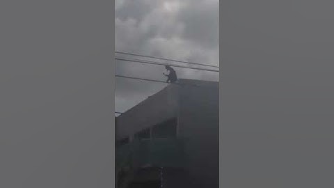 La tu mamma a peora..... Ma chi ti paga