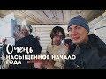 Нежданные гости из Москвы / Очень много снега! Первые цыплята и новые питомцы январь 2022