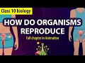 How do organisms reproduce full chapter animation   cbse class 10 biology chapter 7  ncert