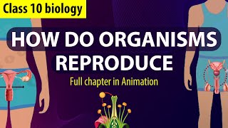 How Do Organisms Reproduce Full chapter (Animation)  | CBSE Class 10 Biology Chapter 7 | NCERT