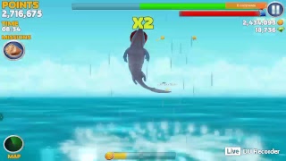 Fgol Hungry Shark Evolution Live