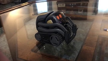 Vector the robot Dancing