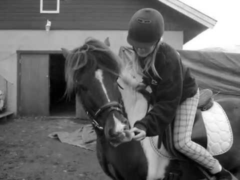 R.I.P Sleipnir