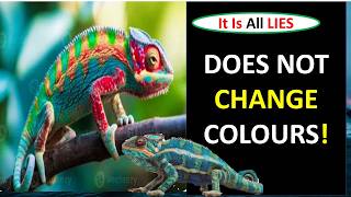 Do They Really Change Colour to Hide… Here’s the Truth