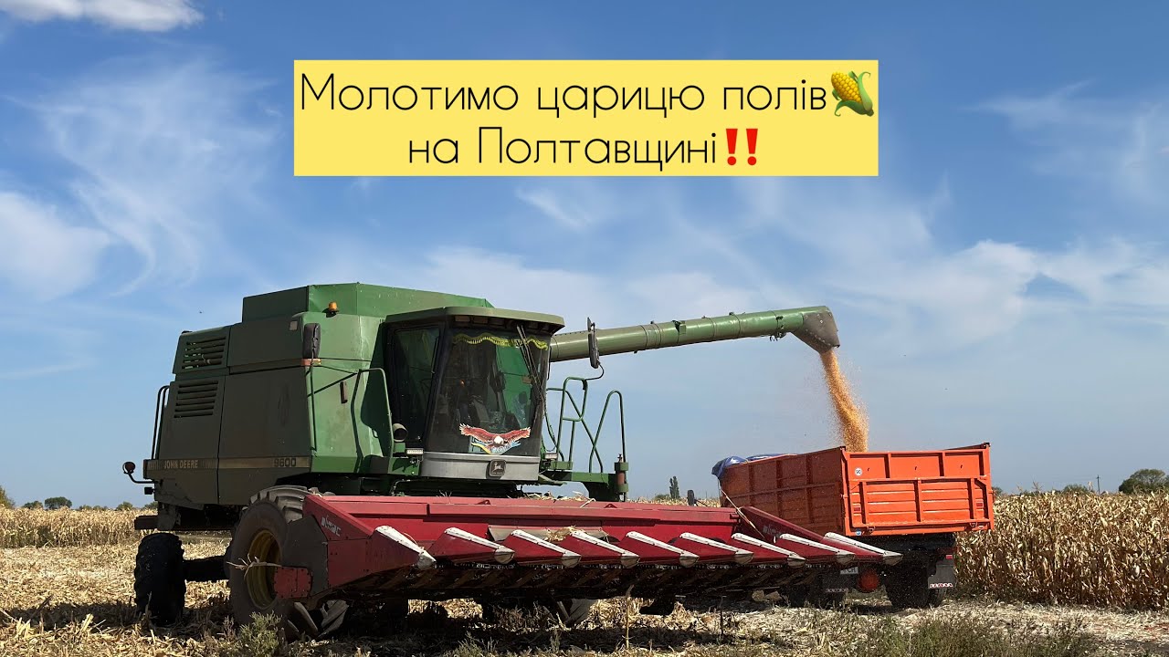 Жнива кукурудзи 2025🌽‼️Очікував на гіршу врожайність 🔥 Аміго та Дієго від Євросем 👍🤝