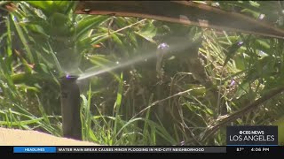 Water restrictions now in effect for much of Southern California