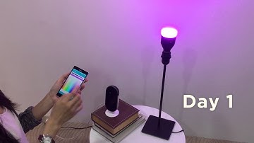 SmartAll - Machine Learning Demo Video