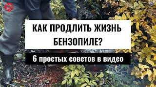 Хочешь продлить жизнь бензопиле? Делай все правильно!