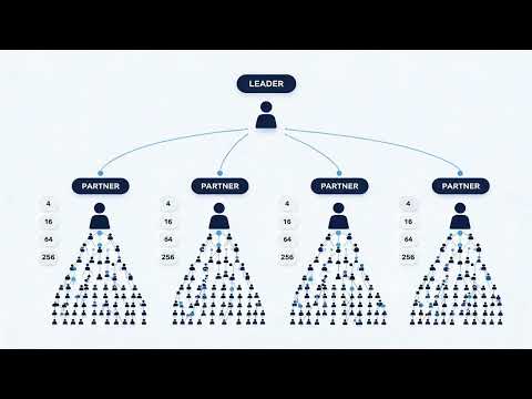 Binary vs Matrix vs Unilevel: Kế hoạch trả thưởng MLM nào tốt hơn?