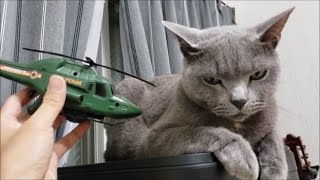 空軍ヘリコプター　ＶＳ　灰色猫すずまろ