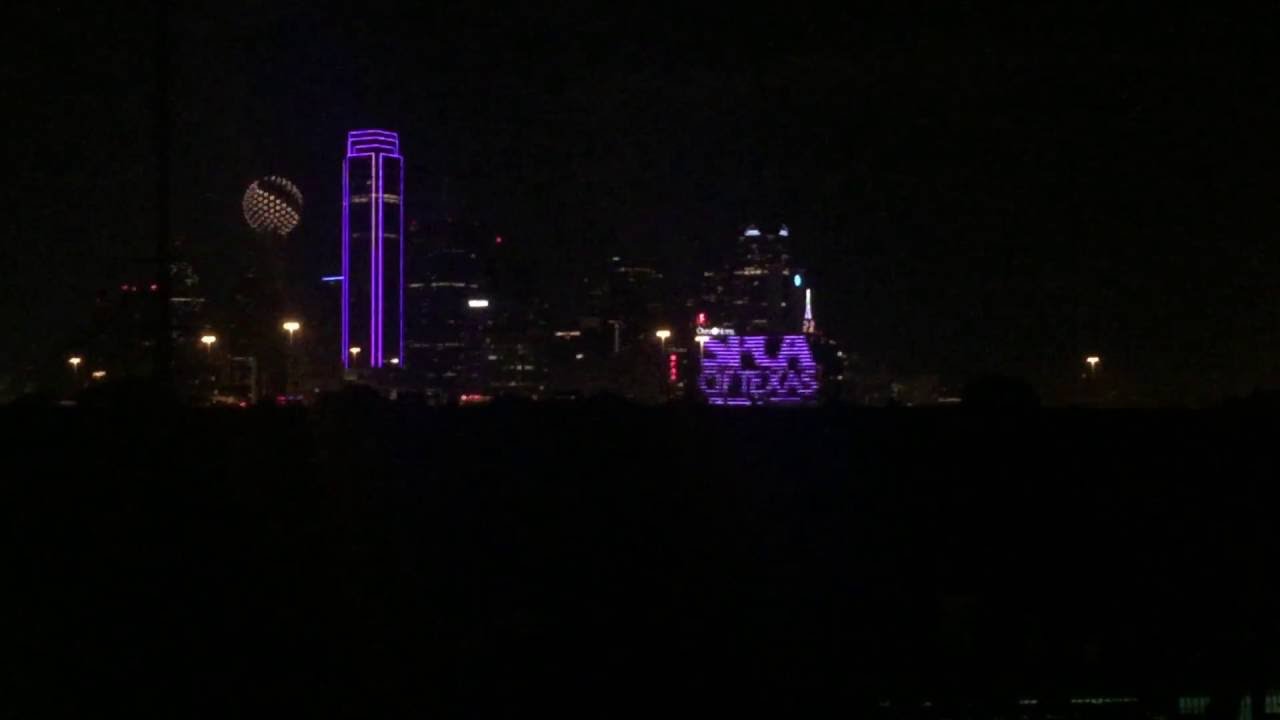 horseshoe bend Painting the Town Purple with the SPCA of Texas