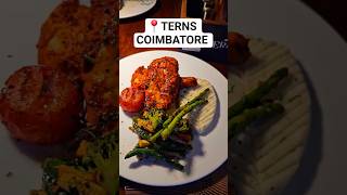 Terns Must Visit Restaurant In Coimbatore