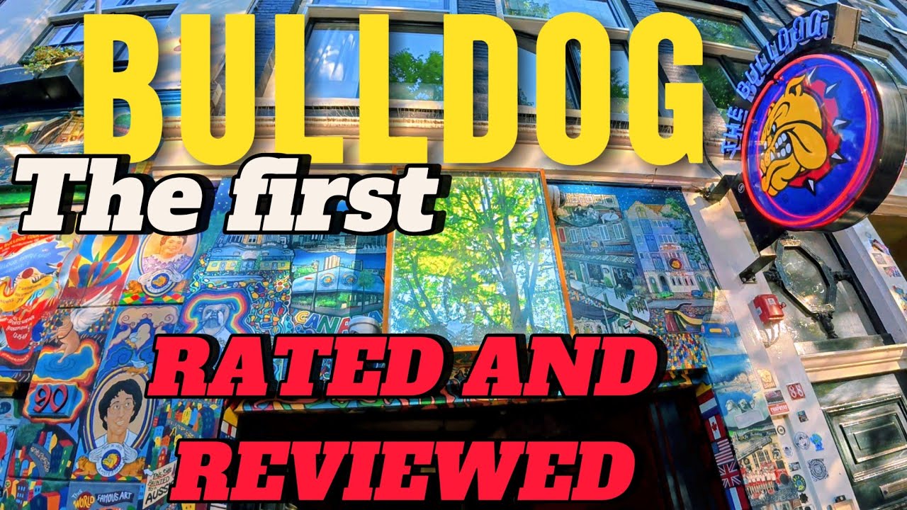 Bulldog — ПЕРВАЯ кофейня — АМСТЕРДАМ — РЕЙТИНГ И ОТЗЫВЫ 2025 ГОДА