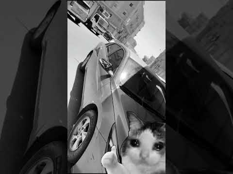 قل لي بسرعة نسيت 