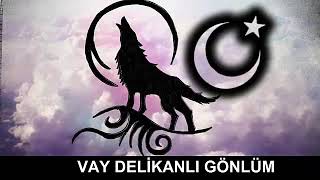 Ahmet Şafak Vay Deli̇kanli Gönlüm Vay