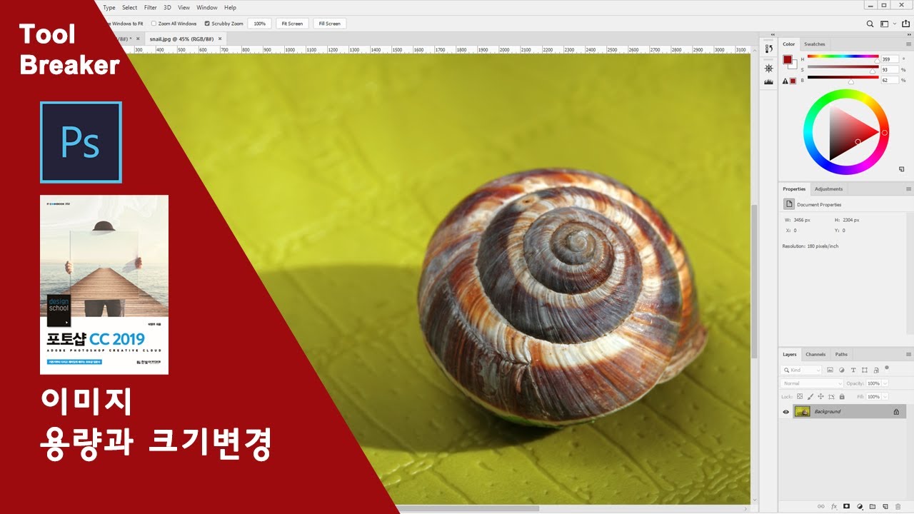 [포토샵 기초]05_이미지의 용량과 크기 변경_photoshop cc 2019