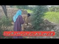 Today, even these children were put to work by their mother | help poor boy | tour and taste #madad