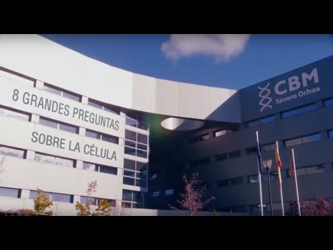 Video: ¿Cómo puede una proteína fuera de la célula hacer que sucedan eventos dentro de la célula?