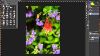 Columbine Tutorial free masks