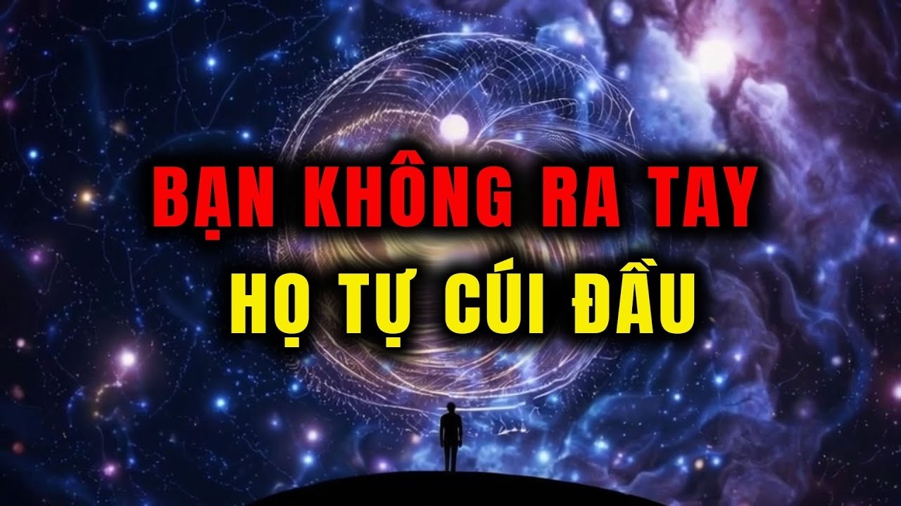 Người Được Chọn Bạn Không Cần Ra Tay – Họ Tự Cúi Đầu Rút Lui Và Nhận Tội