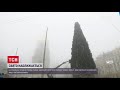 19 грудня на Софійській площі засяє головна ялинка країни | ТСН 12:00