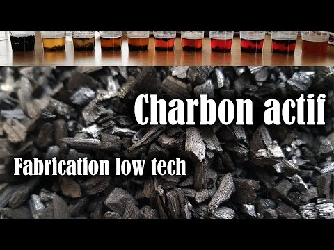 Charbon Actif, Biochar