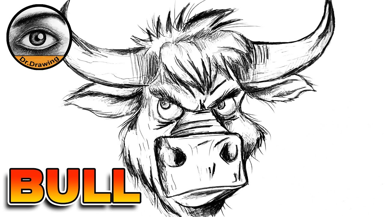 how to draw a bull | how to draw a bull easy