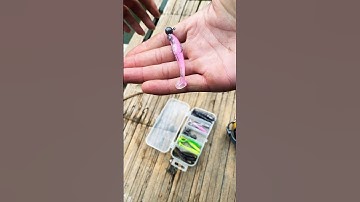 Hướng dẫn cách móc mồi mềm đuôi T câu lure #cauca #câulure #lurre #xuhuong #huongdancauca #caulure