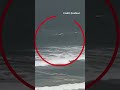 Man critical after Manly shark attack; third Sydney attack in two days