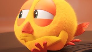 Where's Chicky? Funny Chicky 2023 | CHICKY IS SULKING | Cartoon in English for Kids | New episodes