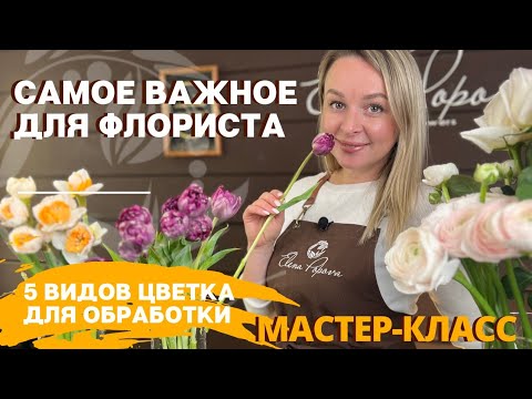 5 цветов для обработки. Обработка и хранение срезанных цветов. Самое важное для флориста