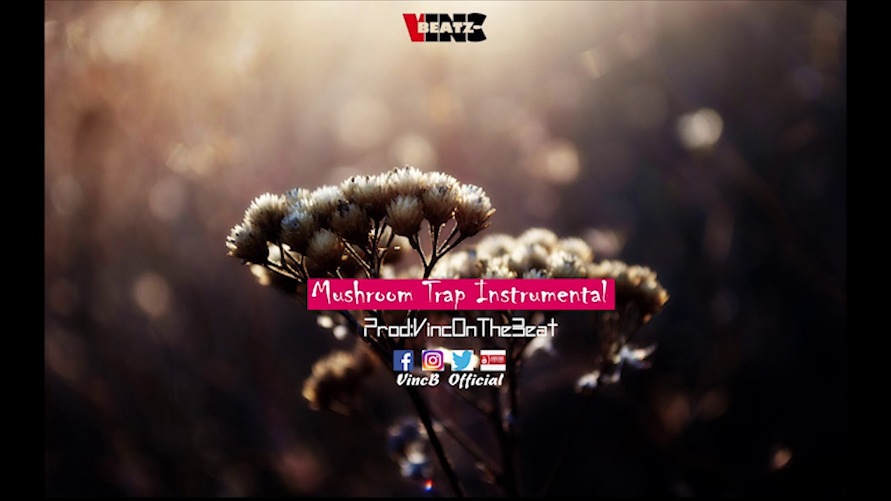 Free!!! Mushroom Heavy Trap Instrumental.