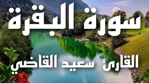سورة البقرة القاريء / سعيد القاضي _   Surah Al-Baqarah   _  Saeed Al-Qadi