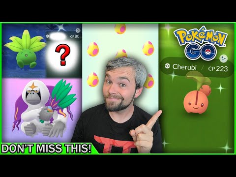Make sure you don't MISS THIS! Shiny Cherubi Hunt! (Pokémon GO)