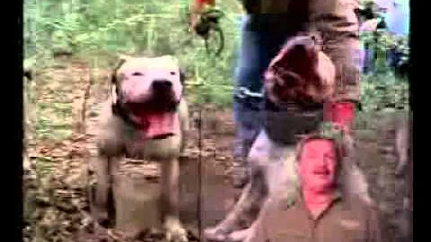 Dan Moody Hunting Service