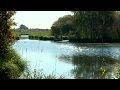 Les enfants du marais de brire