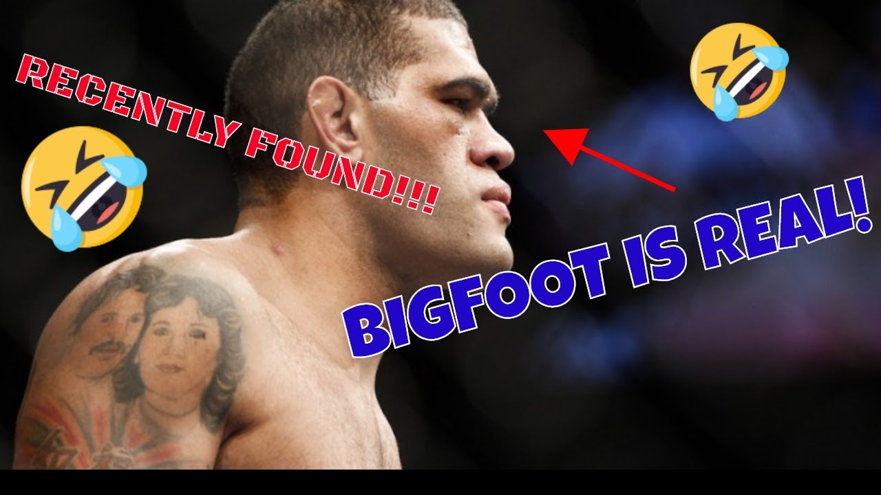 Antonio Bigfoot Silva TOP 5 KNOCKOUTS TKO in UFC || fight matrix