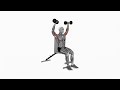 Dumbbell Arnold Press Seated - Proper Form &amp; Technique [4K]