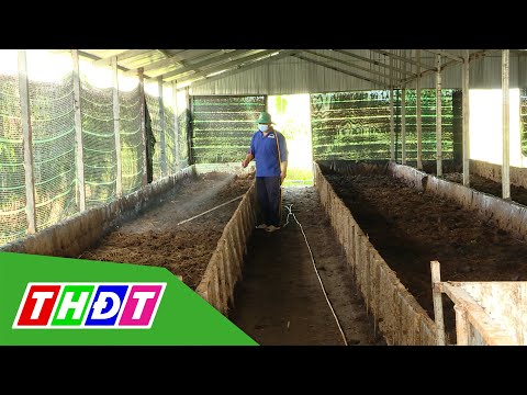 Video Ứng dụng công nghệ vi sinh sản xuất phân trùn quế Made... - YouTube