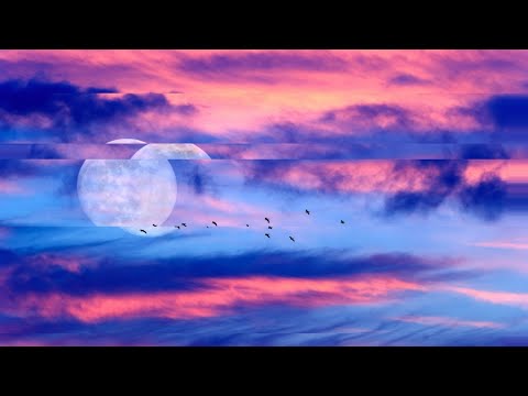 Serena Rose Chopra & Luiza Flynn-Goodlett